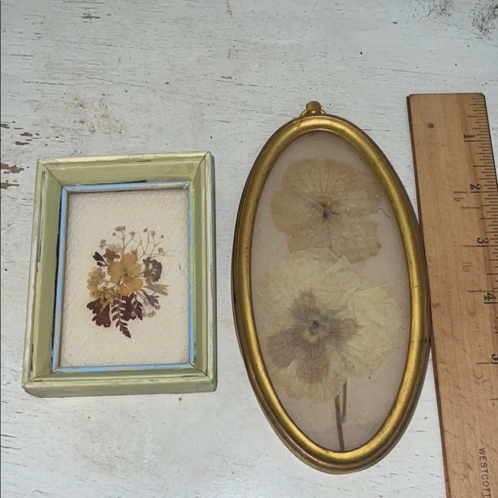 2 Vintage pressed flowers framed Gold and Cream Oval Floral Wall Art